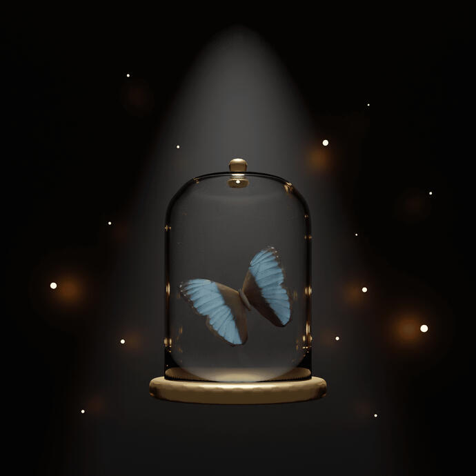 나비, Visualizer